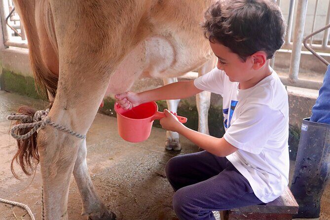 From Cow to Cheese: Authentic Farm & Cheese Tour in Monteverde - A Detailed Look at the Farm & Cheese Tour in Monteverde