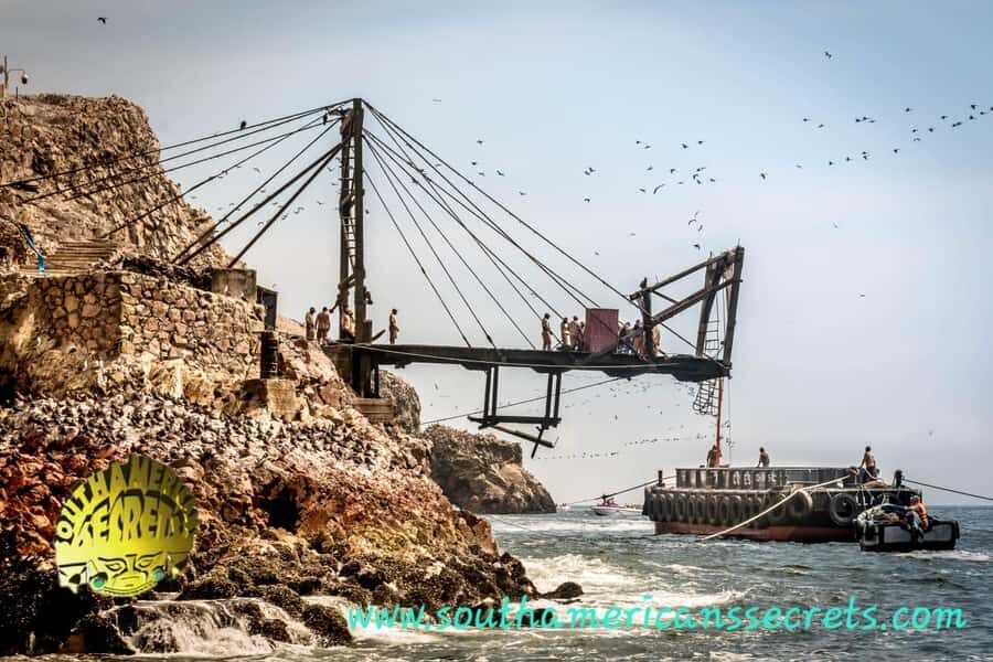 From Paracas: Ballestas Islands tour all Inclusive - The Final Verdict