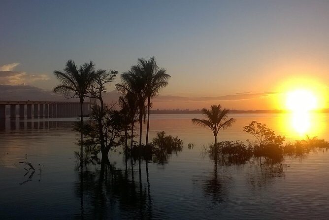 Full Day Amazon River Experience with Night Boat Tour - An In-Depth Look at the Amazon River Experience