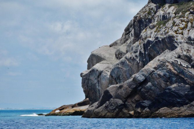 Full-Day Arraial do Cabo Tour with Lunch from Rio de Janeiro - Who Will Love This Tour?