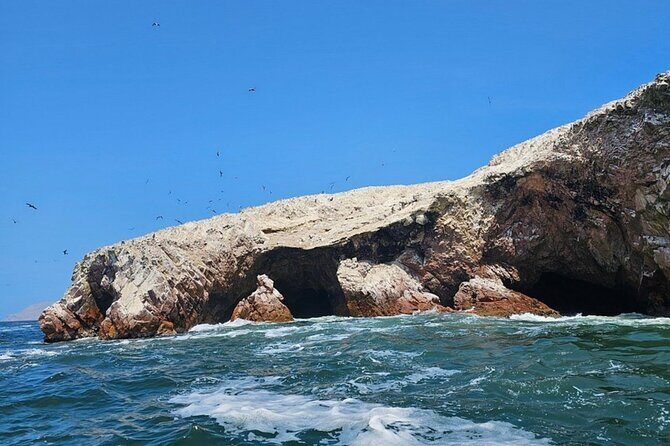 Full day Huacachina from Lima Buggy and Sandboard and Lunch - Authentic Experiences and Authentic Reviews