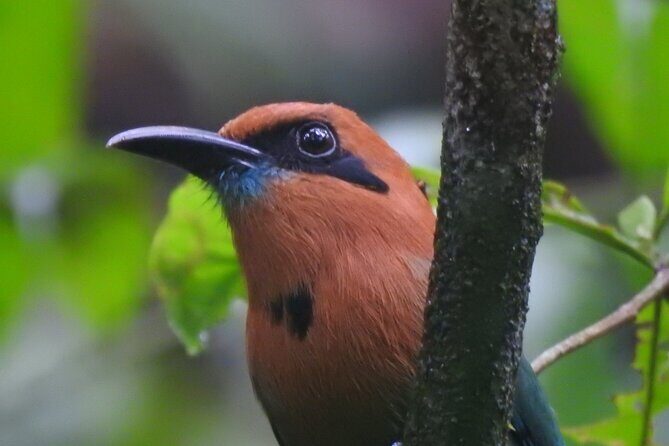 Full Day Private Birding and Nature Sightseeing Tour, Pipe Line. - What Makes This Tour Stand Out