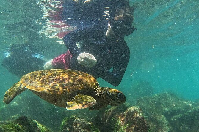 Full Day Tour Pinzon Island + La Fe/Las Palmas - Snorkeling & Fishing - Who Should Consider This Tour?