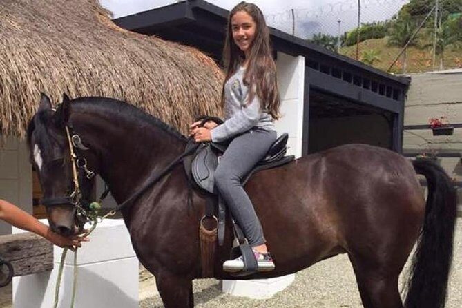 Full-Day Zipline, ATV and Horseback Riding Private Adventure from Medellín - Who Is This Tour Best For?