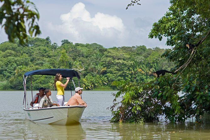 Gamboa Rainforest Experience From Panama City - What Travelers Are Saying