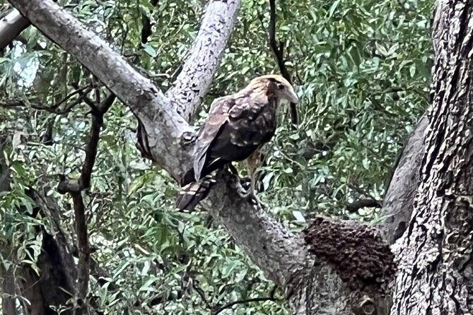 Gatun Expedition Monkey island Tour - In-Depth Look at the Gatun Expedition Monkey Island Tour