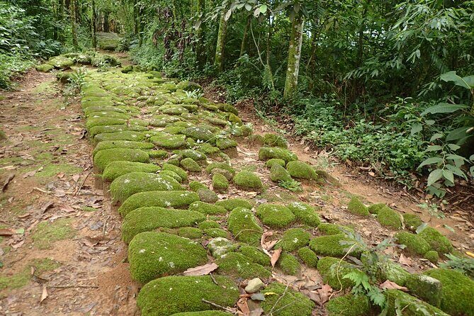 Gold Trail Atlantic Forest Walk - Frequently Asked Questions