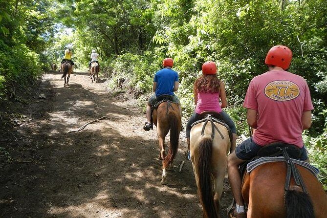 Good view mega combo - Who Will Love this Tour?