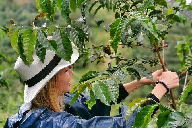 Guatape & Coffee Farm & El Peñol Rock & Quaint Town: Best Combo - Who Will Love This Tour?