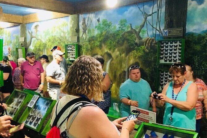 Gumbalimba Park Experience - Exploring the Gumbalimba Park Experience in Detail