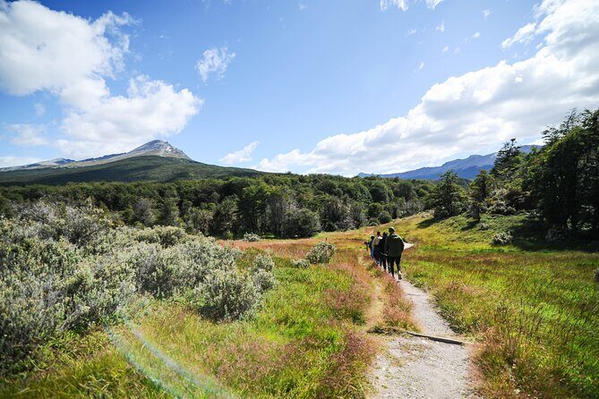 Half-Day Tierra del Fuego National Park with Lunch and Drinks - The Sum Up: Is This Tour Right for You?
