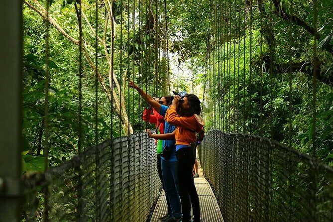 Hanging Bridges, Arenal Volcano, Waterfall, Hot Springs Full day - What’s Included and What to Expect