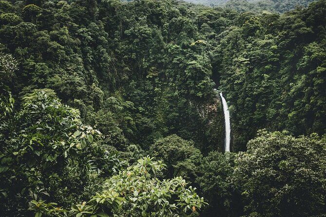 Hanging Bridges, Volcano Hike and La Fortuna Waterfall - What the Reviews Say