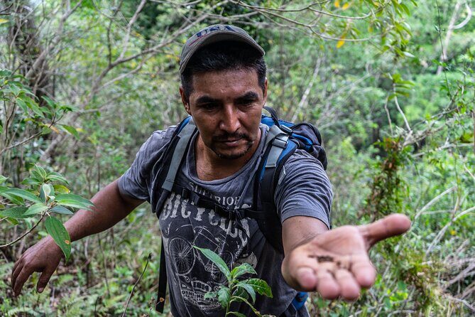 Hidden Waterfalls Eco Tour in El Imposible National Park - What We Love About This Tour
