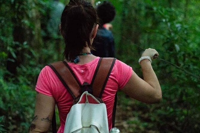 Hike through Secret Waterfalls in Foz do Iguaçu (Part-time - Morning) - Detailed Itinerary Breakdown