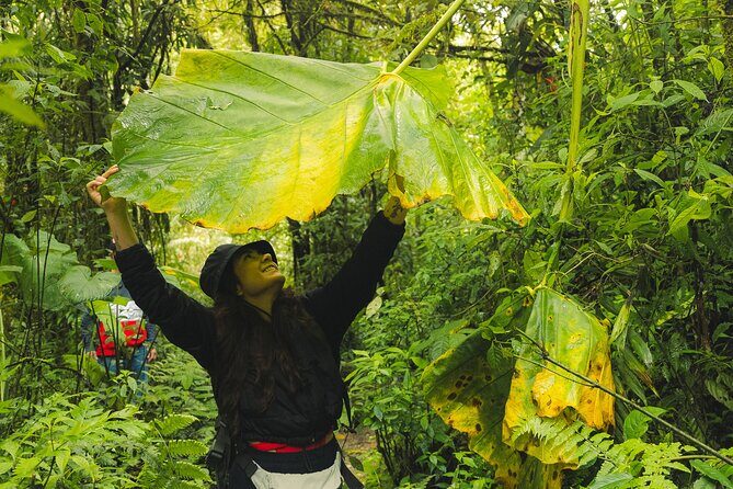 hiking medellin and hidden waterfalls - Who Should Book This Tour?