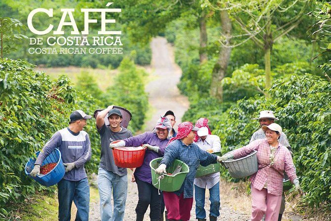 Horseback our Hacienda - 4 hours Coffee Tour - In-Depth Look at the Experience