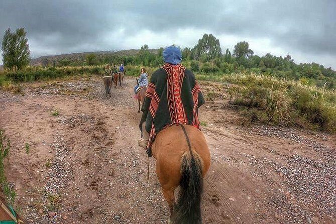 Horseback ride through vineyards followed by gourmet lunch - Why This Tour Works for Travelers