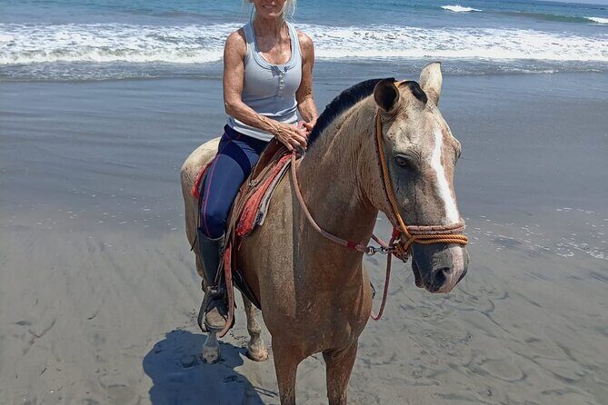 Horseback Riding - 1 hour 30 minutes Guided Tour - In-Depth Review: What Makes This Horseback Tour Special