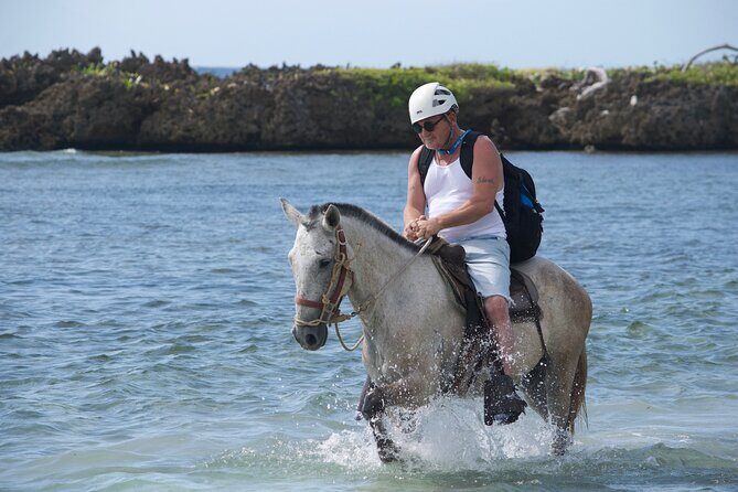 Horseback Riding at Mahogany Bay - Final Thoughts: A Balanced Look at Horseback Riding at Mahogany Bay