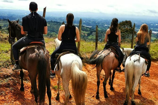 Horseback Riding in Medellin Private Tour: Great Views & Horses - Who Should Consider This Tour?