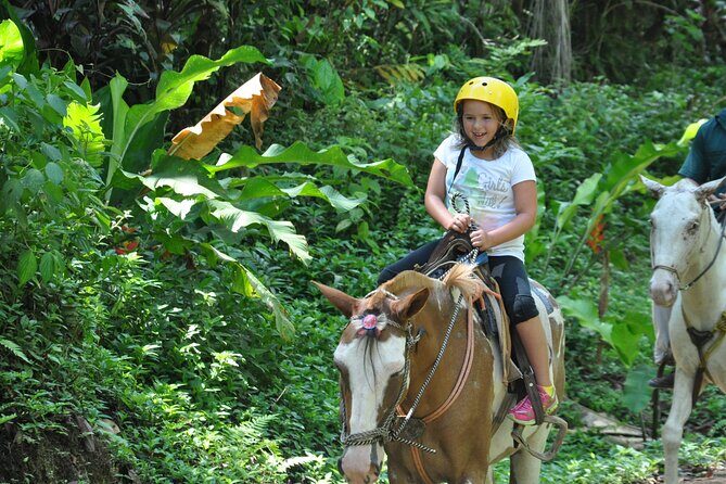 Horseback Riding through the Jungle - The Value of the Experience