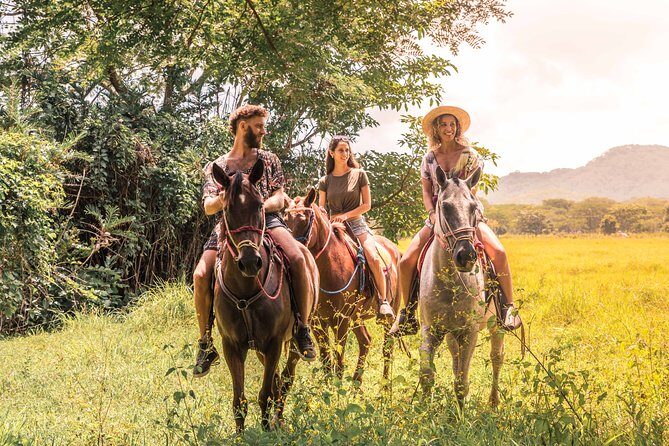 Horseback Riding to Conchal Beach from Tamarindo & Flamingo - The Worth of the Price