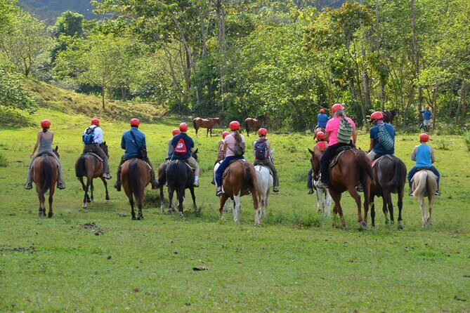 Horseback Riding to La Fortuna Waterfall - Who Is This Tour Best For?