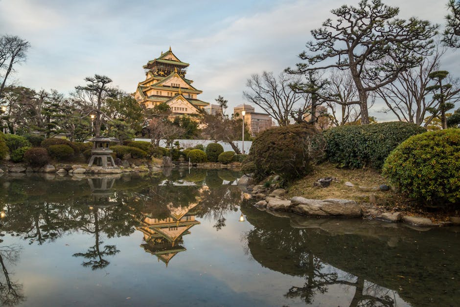 Discover the tranquil beauty of Osaka Castle reflecting in a