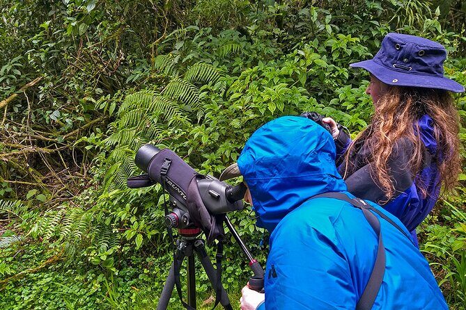 HUMMINGBIRD EXPEDITION - Searching for the cloud forest jewels. - The Sum Up