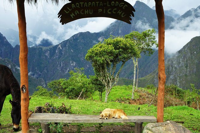 Inca Jungle Premium to Machu Picchu 4-Day and 3-Nights - Authentic Experience and Authenticity