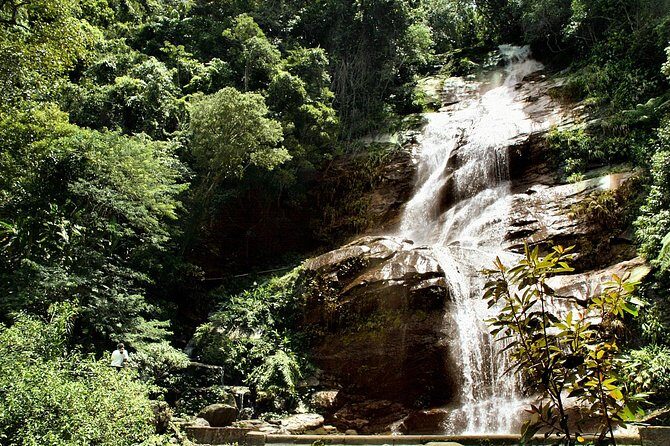 Jeep Adventure: Guided Tour through Tijuca Rain Forest - Who Will Love This Tour?