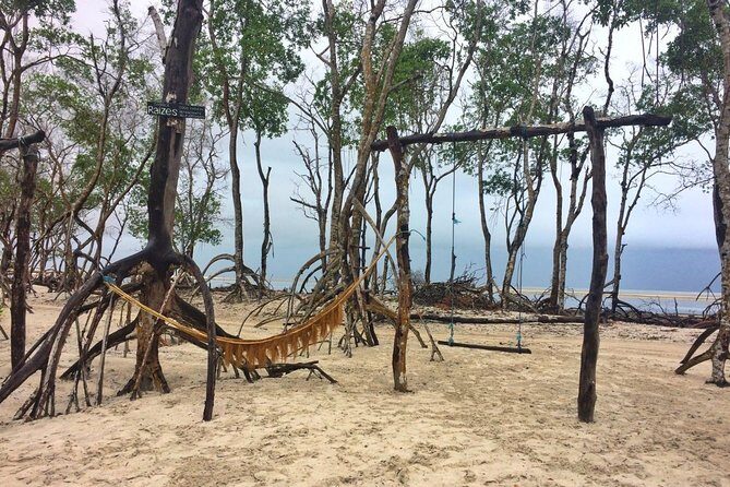 Jericoacoara West Coastal Tour - Who Should Take This Tour?