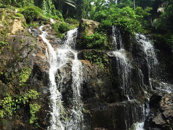 Jungle Zipline & Waterfall Rappelling - Bocawina Falls - Who This Tour Is Perfect For