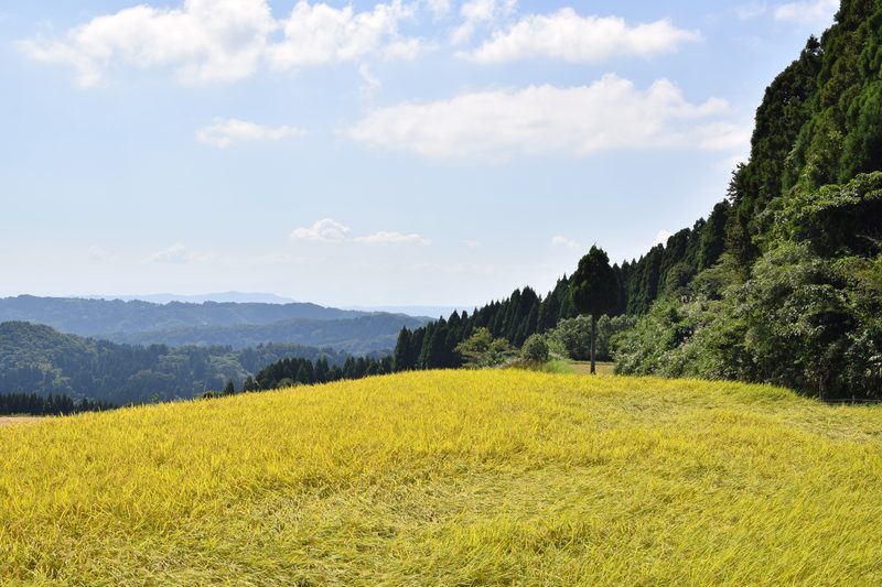 Noto Peninsula coastline in Ishikawa Prefecture