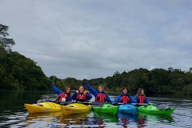 Kayak through the Sunken Forest of the Maullín River - Why This Tour Offers Great Value