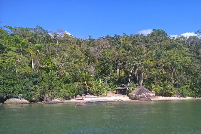 Kayaking Mangroves tour ( Natural Reserve ) - The Full Experience: What You’ll Get