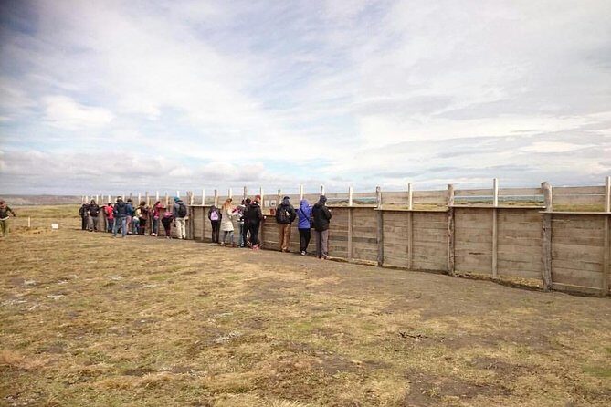 King Penguin Nature Reserve - Tierra del Fuego Island - Authentic Experiences and Helpful Tips