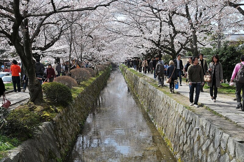 Philosopher Path, Kyoto