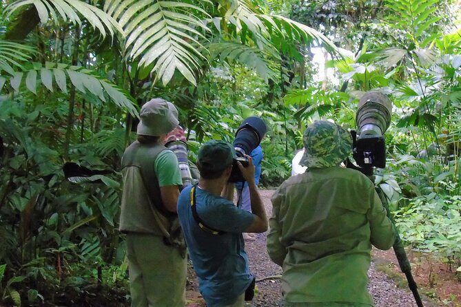 La Fortuna Butterfly Garden and wildlife Park GROUP Tour - An In-Depth Look at the Ecocentro Danaus Guided Tour