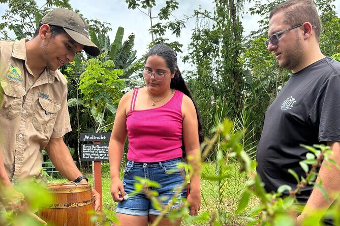 La Fortuna: Tour de abejas nativas y degustación de miel curativa - The Sum Up