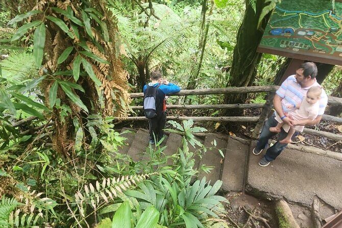 La Paz Waterfall Gardens Half-Day Tour from San José - How Does It Compare in Value?