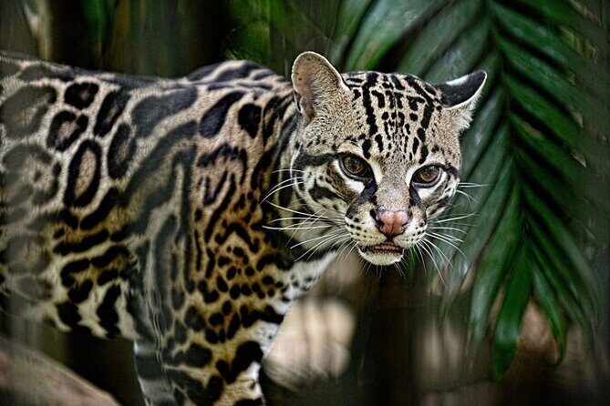 La Paz Waterfalls Gardens Tour (Half day) - Practical Details and Considerations