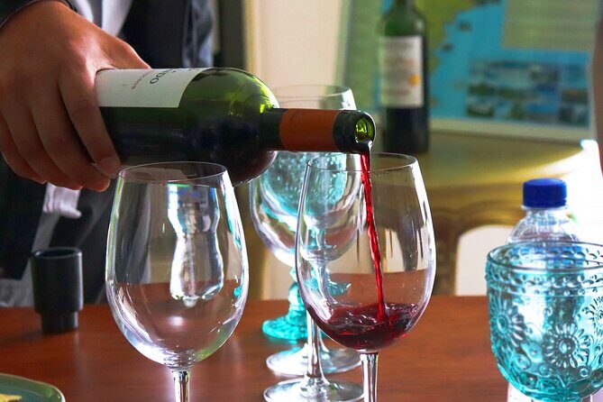 Lima: Local Wine Tour - A Detailed Breakdown of the Lima: Local Wine Tour