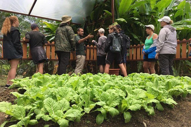 Local Flavor Cooking Experience - What Makes This Tour Stand Out?