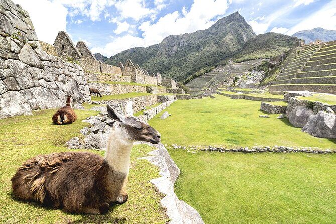 Machu Picchu Full Day Tour - Who Should Book This Tour?