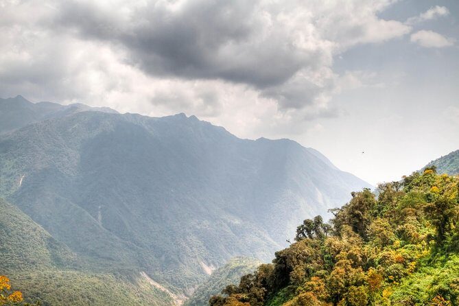 Machu Picchu Full-Day Tour from Cusco with Panoramic Train - What Makes This Tour Stand Out