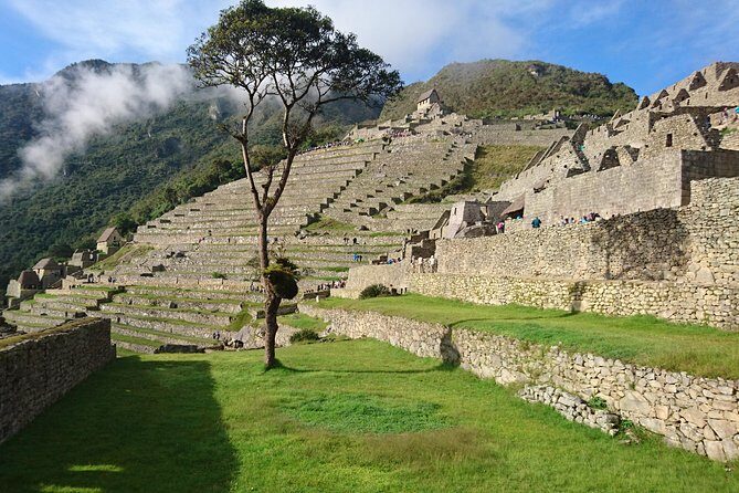 Machu Picchu Premium Full Day tour - What Travelers Say: Authentic Perspectives