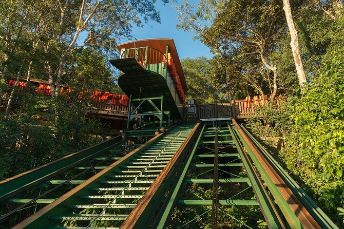 Macuco Safari Boat Trip - A Detailed Look at the Macuco Safari Boat Trip