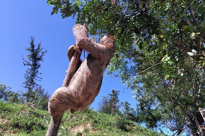 Manawakie Park, Sightseeing Island Tour & Beach - Practical Tips for Your Tour